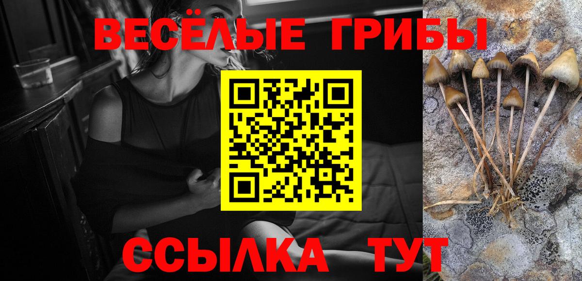 Галлюциногенные грибы Magic Shrooms  Вход с VPN  Якутск 